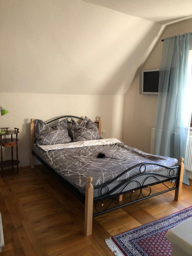 Ferienhaus Mit Pool Zum Traeumen Und Entspannen Fuer Alle Sinne Bad Schmiedeberg Exterior photo