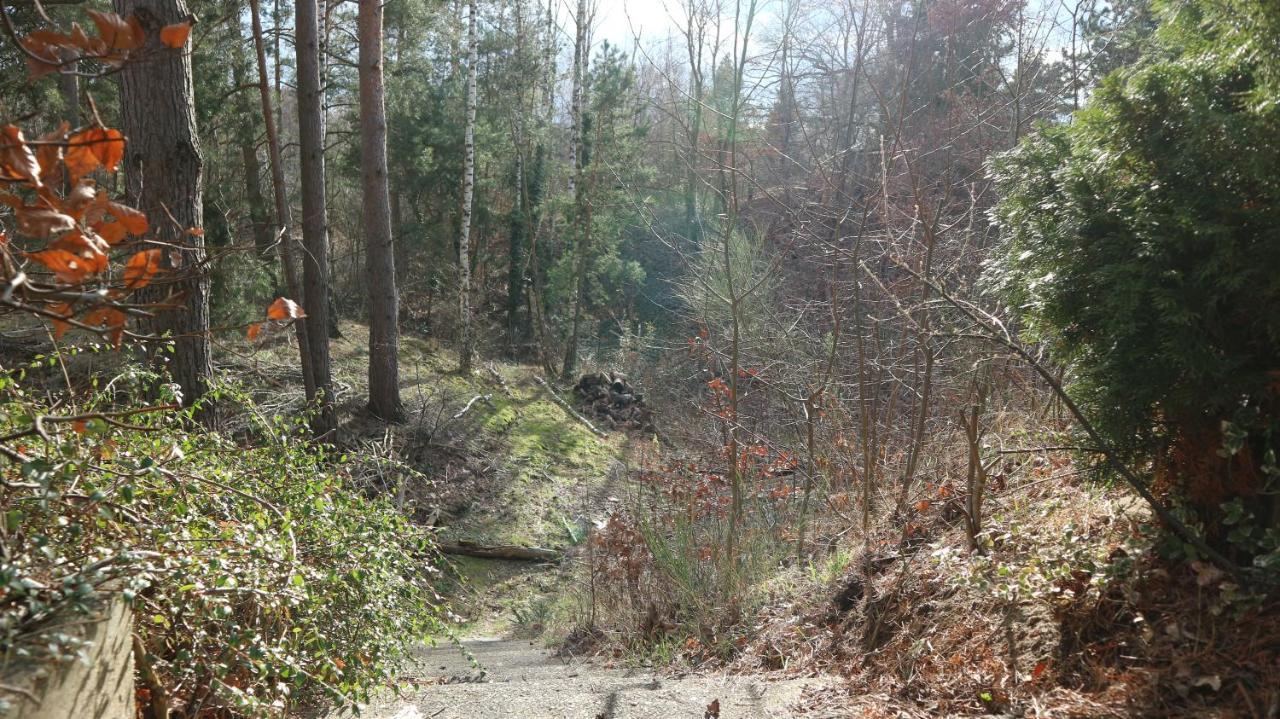 Ferienhaus Mit Pool Zum Traeumen Und Entspannen Fuer Alle Sinne Bad Schmiedeberg Exterior photo